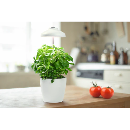 LEDVANCE Ombrello da Giardino Interno LED Luce per Piante 20cm USB 5V 5W / 3400K - Image 5
