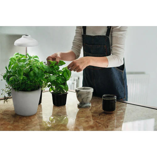 LEDVANCE Ombrello da Giardino Interno LED Luce per Piante 20cm USB 5V 5W / 3400K - Image 6