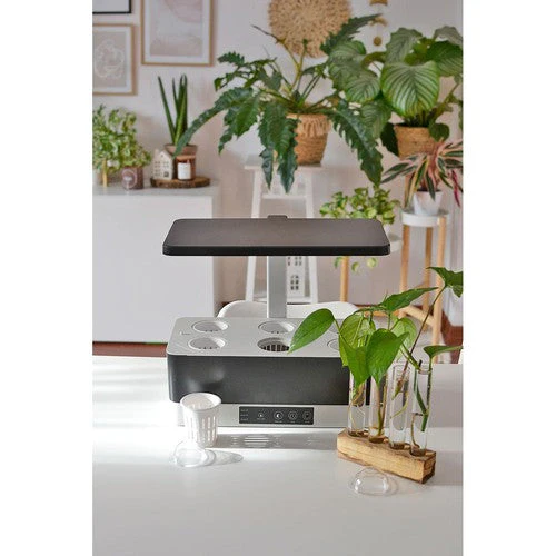 LEDVANCE Kit Giardino Interno PRO Sistema di Germinazione 36cm incl. Luce per Piante 220…240V 24W / 3600K - Image 8